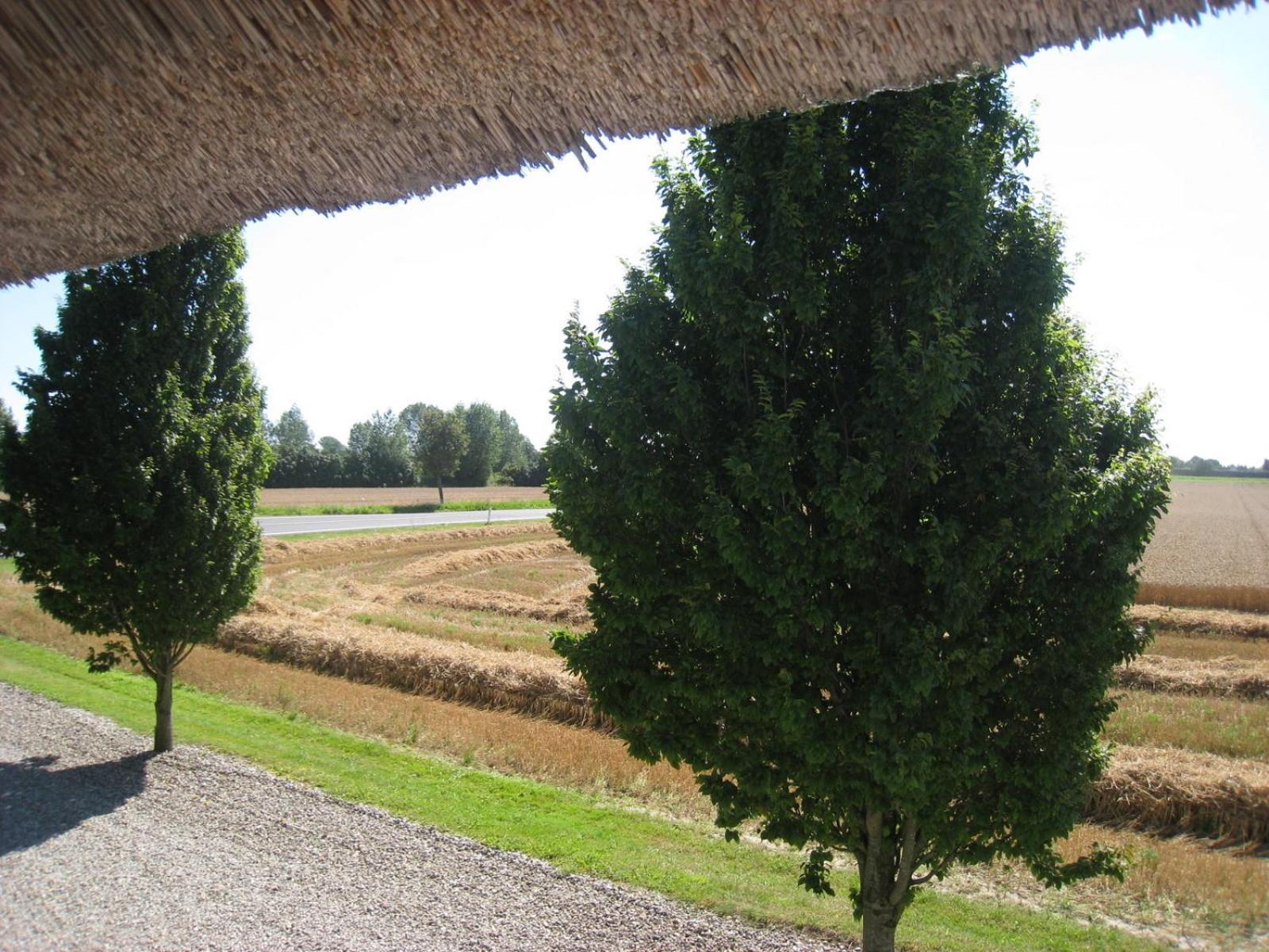 Nabolos Rooms Bovense Exterior foto